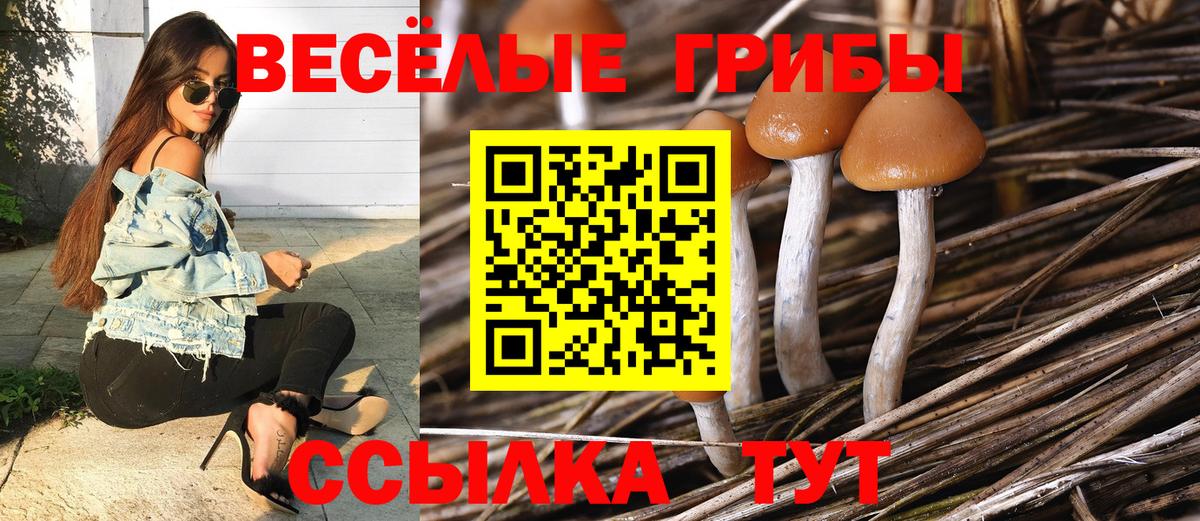 Галлюциногенные грибы мухоморы Санкт-Петербург