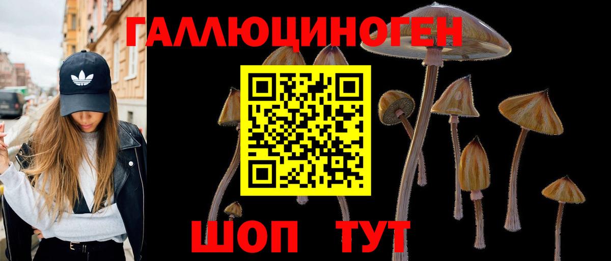 Галлюциногенные грибы Psilocybe  Вход с VPN  Псилоцибиновые грибы Psilocybine cubensis  Санкт-Петербург 
